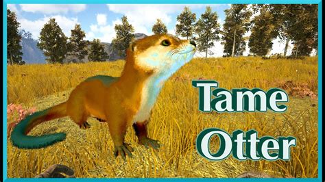 How to tame otter ark fjordur - Jun 17, 2022 · While holding the fish corpse, once again press the interact button at an otter to feed them the fish. Larger fish increase the tame percentage faster, as well as fish that were killed by an ... 
